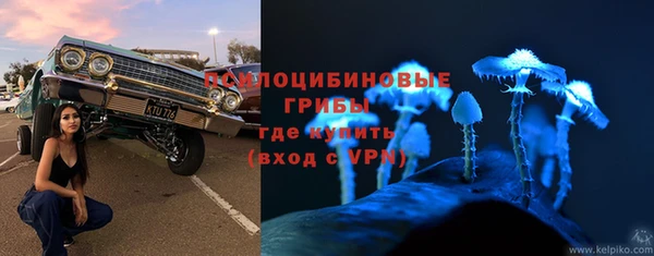 трава Гусев