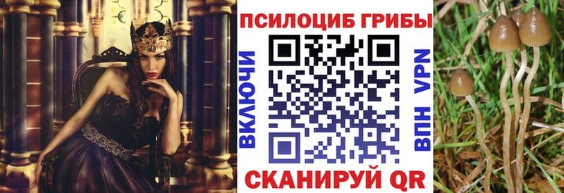 даркнет сайт Заинск Псилоцибиновые грибы Magic Shrooms